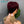 BeQueen Wig PIXIE WIGS Bequeen 99J Pixie Wig